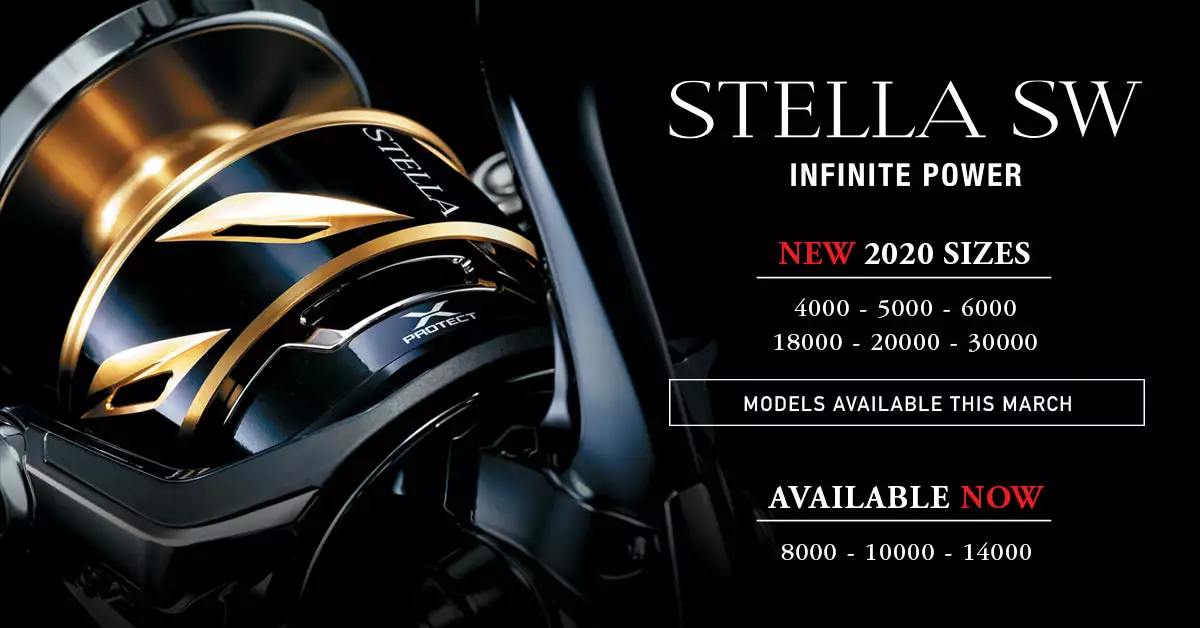 2020 Shimano STELLA SW - Image 2