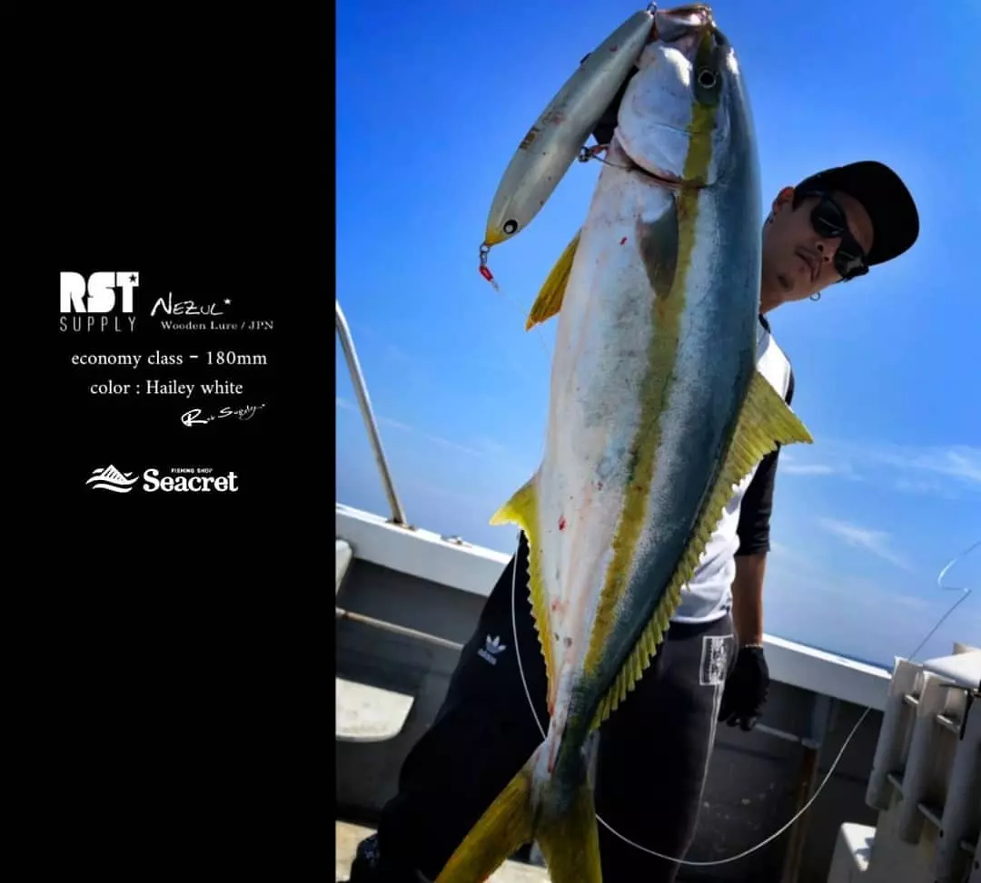 RST Supply Nezul 180 Economy Class - Image 6