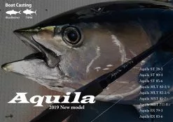 Ripple Fisher Aquila ST 85-6