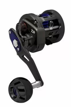 Daiwa Saltiga Bay Jigging Overhead