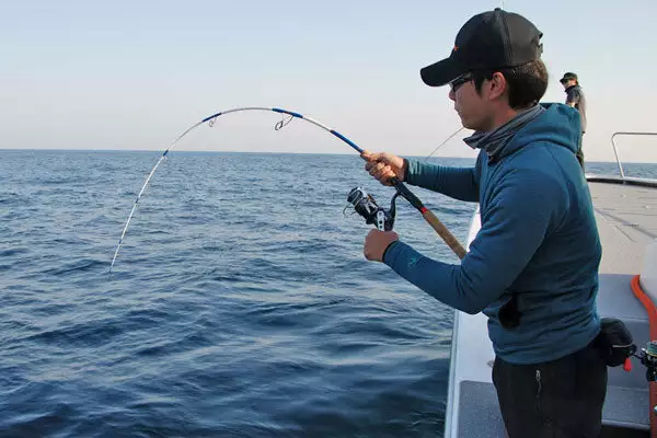 MC Works Dual Edge 643LR Low Response Jigging Rod - Image 6