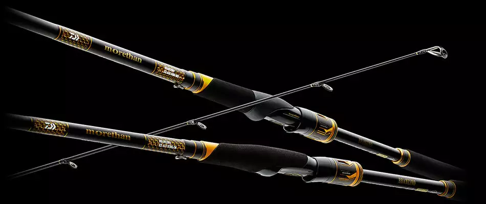 Daiwa 21 MORETHAN BRANZINO EX AGS