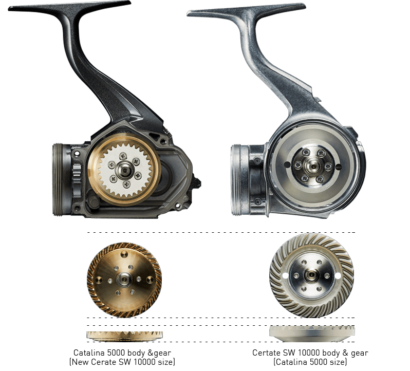 2021 Daiwa Certate SW - Image 10