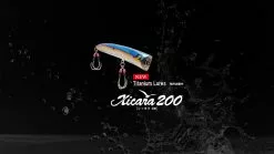 2022 Hibiki X Livre Xicara 200