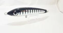 Carpenter Bluefish BF 60 - 170 Diablo Black Silver Stripe Gold Eye