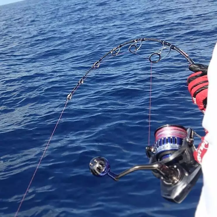 Ocean's Legacy Adrenalin Deep Game Jigging Rod (Spin) - Image 9