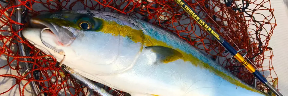 MC Works 2022 Magic Trigger 653LR SP - Image 4