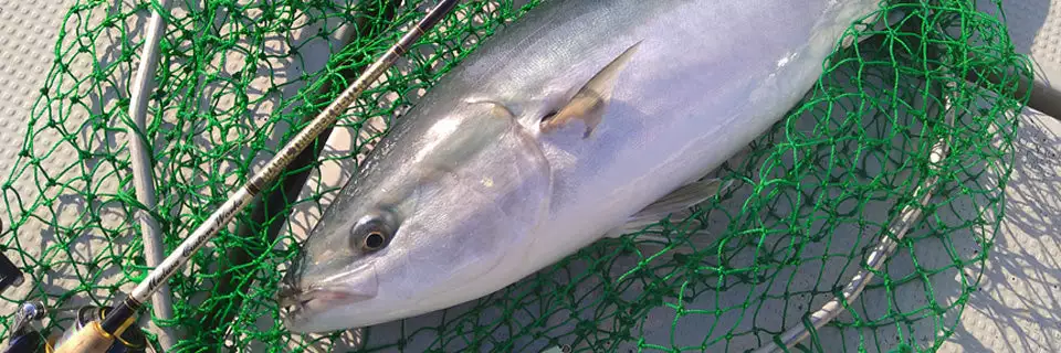 MC Works Magic Trigger 661LR STD - Image 5