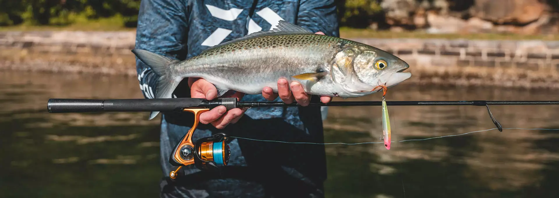 (Pre-order) Daiwa 23 Aird LT - Image 5