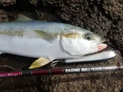 MC Works RB103XR-T SP