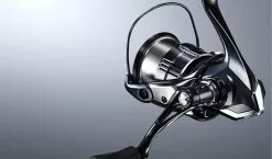 2019 Shimano Vanquish (NEW SIZES)