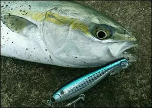 Maria Fla-Pen Blue Runner 115mm 38g - Image 5