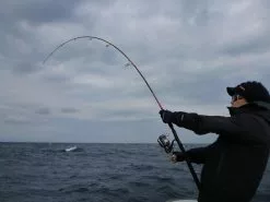 MC Works Seven Miles SM816CR