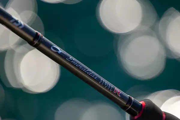 Daiwa 21 Emeraldas STOIST RT - Image 4