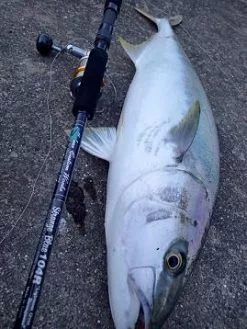 MC Works Strange Blue SB104R (Special Model)