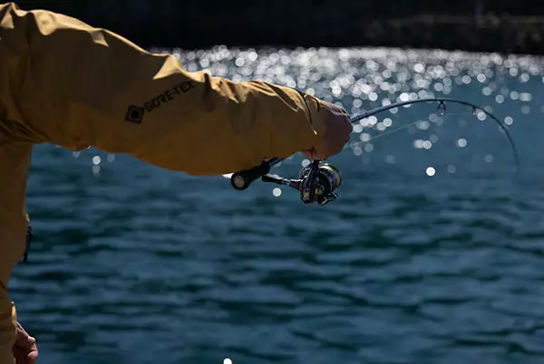 Daiwa 21 Emeraldas STOIST RT - Image 6