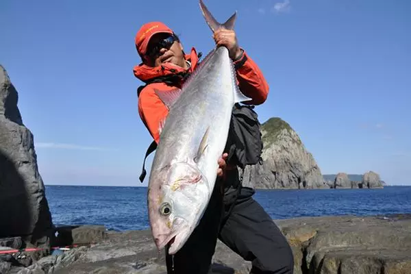 MC Works Wilde Breaker WB113 R/S STD